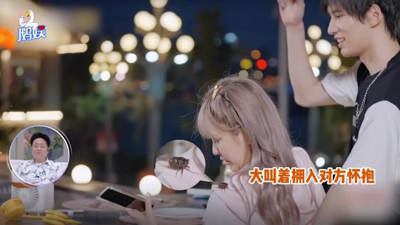 拯救红松鼠